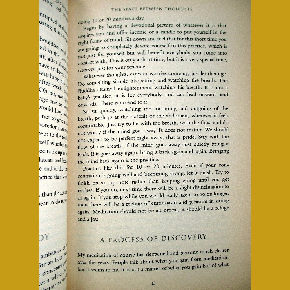 Book: Walking on Lotus Flowers, by Martine Batcheleor - Picture 6 of 14